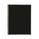 Apple iPad 2 - LCD Display