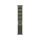 FixPremium - Alpine Loop Armband für Apple Watch (42, 44, 45 und 49mm), grün