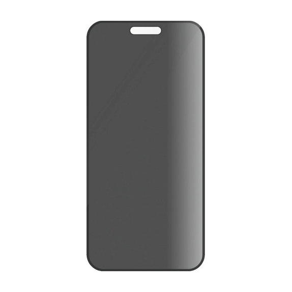Bundle Hoops + UWF Privacy Panzerglas + Hard Case für iPhone 16 Plus, PanzerGlass