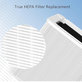 Blueair Blue Pure 211+ - HEPA-Filter (Aktivkohle)