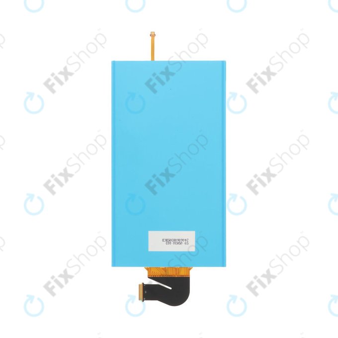 LCD-Display für Nintendo Switch Lite