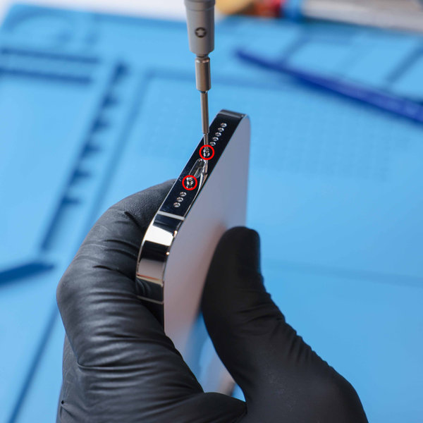 Entfernen Sie die unteren Pentalobe-Schrauben.