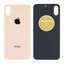 Apple iPhone XS - Backcover Glas (Gold)
