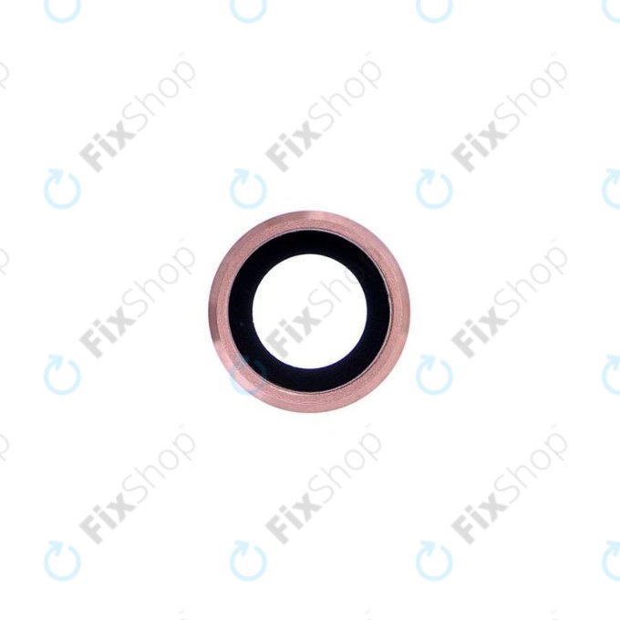 Apple iPad Pro 9.7 (2016) - Rückfahrkameraglas (Rose Gold)