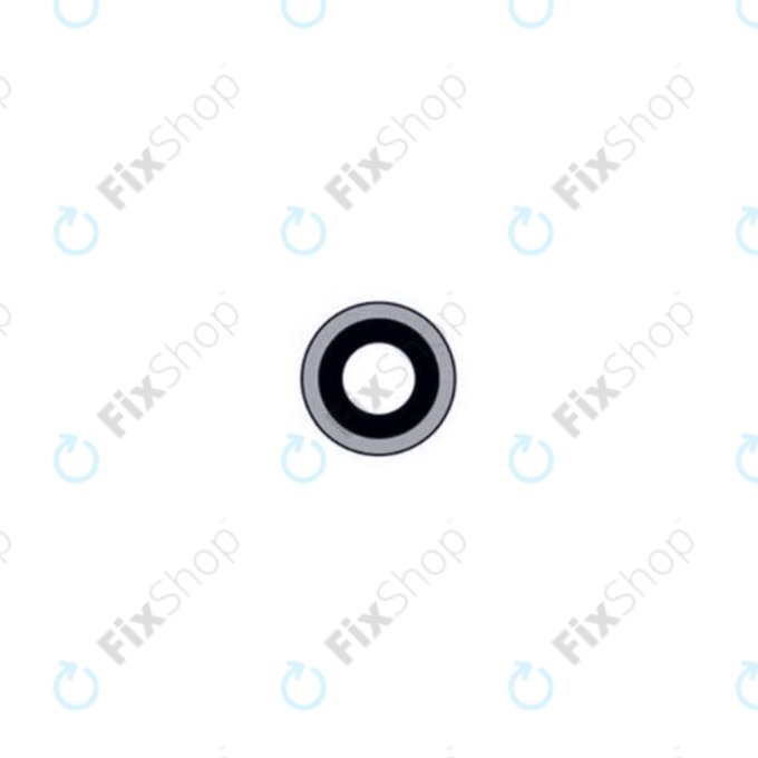 Apple iPad 2 - Rückfahrkameraglas