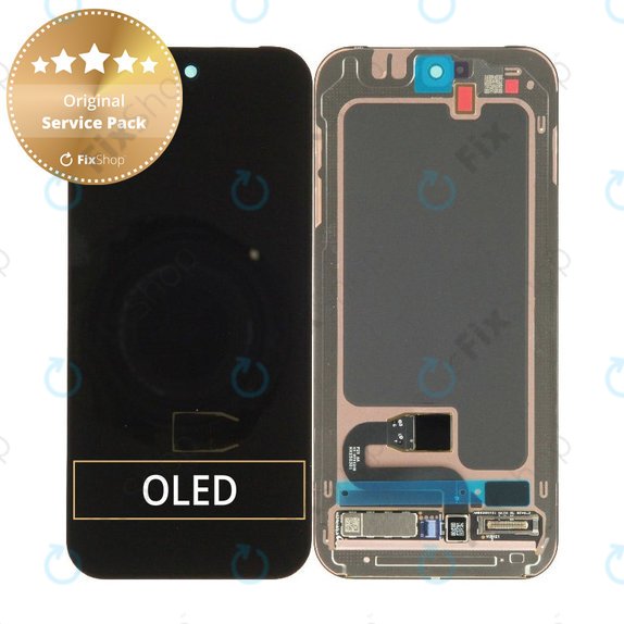 Display für Google Pixel 10, Original, Touchscreen-Glas ohne Rahmen, G949-01460-00, Genuine Service Pack