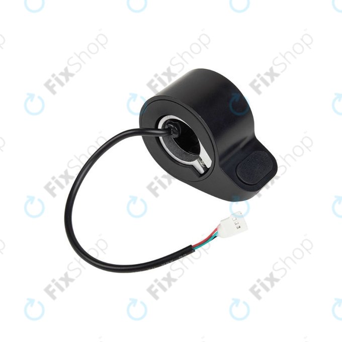 Argento Active 2022 - Beschleuniger