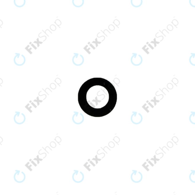 Apple iPad Mini 4 - Rückfahrkameraglas