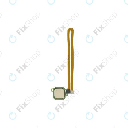 Huawei Nova CAN-L11 - Fingerabdrucksensor + Flex kabel (Prestige Gold) - 23100116